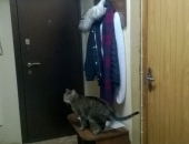 ���� ������� � ��� �� 7000�. �� ������������! ��� ��������!  - ����� ������������, ������� ������� �����-���������